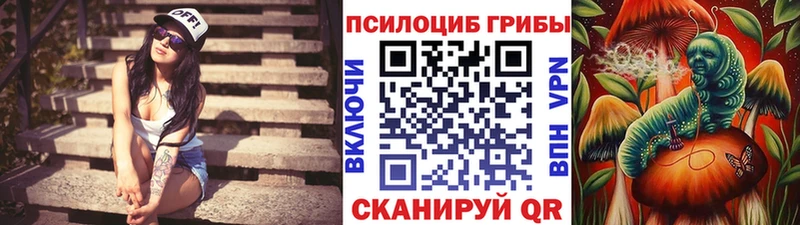 Купить  Искитим  Галлюциногенные грибы мухоморы 